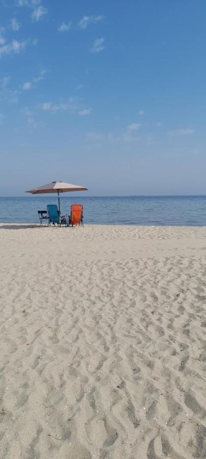 Dimos Sunny & Luxury Central House !!! Peraía Zewnętrze zdjęcie